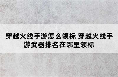 穿越火线手游怎么领标 穿越火线手游武器排名在哪里领标